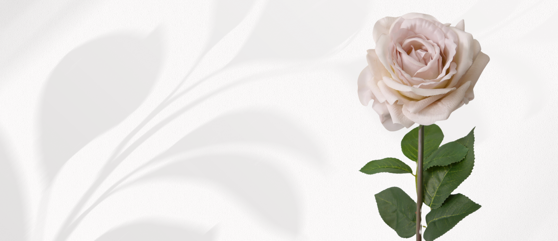 Fine Flowers Shop Banner