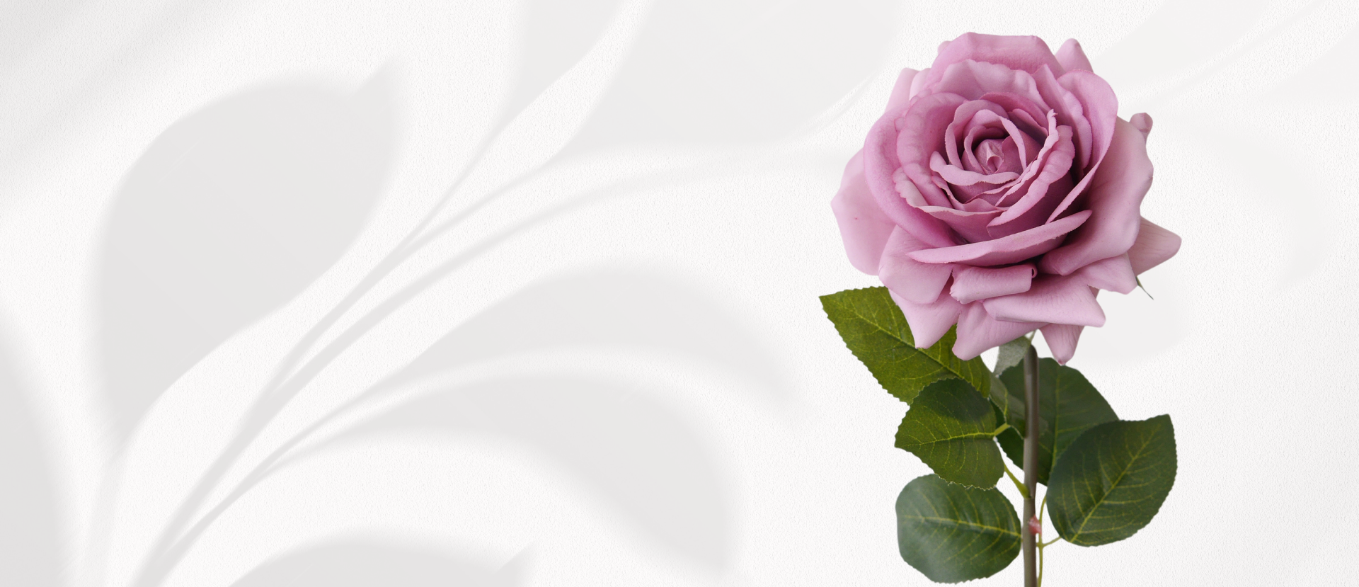 Fine Flowers Shop Banner