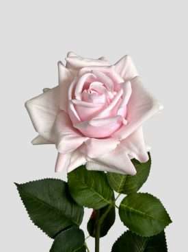 Kunstblumen kaufen Real Touch Rose Design Sophia täuschend echt 74 cm hoch.