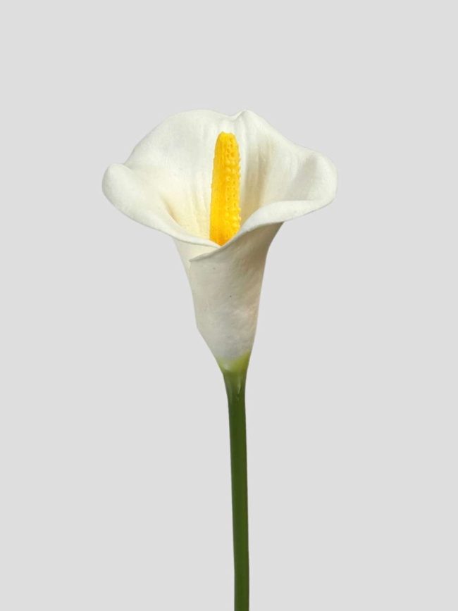 Weiße Real Touch Calla