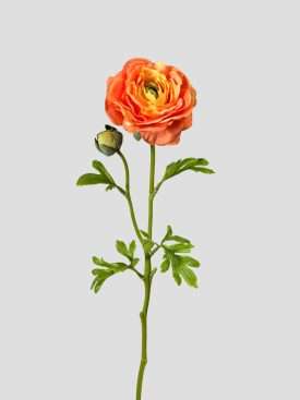 Künstliche orange Ranunkel mit realistischer Real Touch Oberfläche